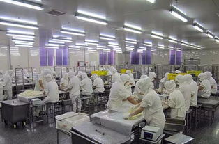 食品廠空氣環(huán)境無(wú)菌凈化方案及消毒滅菌技術(shù)應(yīng)用開發(fā)指南